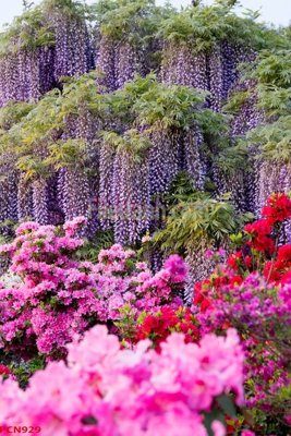 Mua file gốc File tranh phong cảnh thiên nhiên PCN929 (PSD) tại Filetranh.com