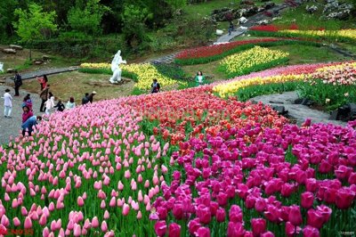 File ảnh gốc File tranh phong cảnh thiên nhiên PCN935 (chuyên in mica)