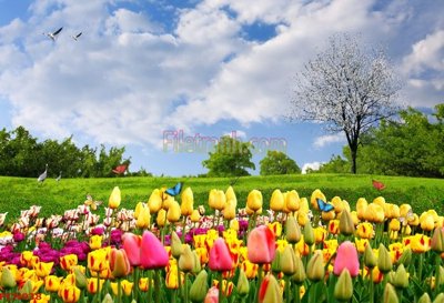 File tranh trang trí File tranh phong cảnh thiên nhiên PCN938 (file gốc)