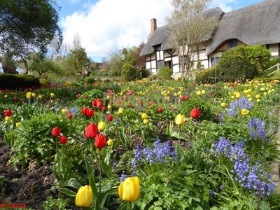 File ảnh File tranh phong cảnh thiên nhiên PCN943 (gốc) cho trang trí nội thất