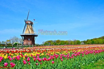 File gốc File tranh phong cảnh thiên nhiên PCN962 (in ấn) không giới hạn