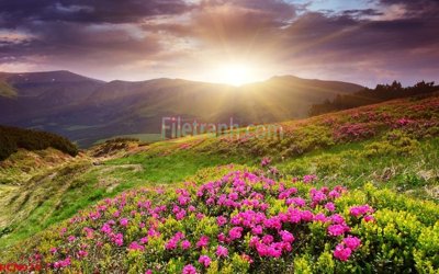 File gốc File tranh phong cảnh thiên nhiên PCN979 (cho in 3D) độc đáo