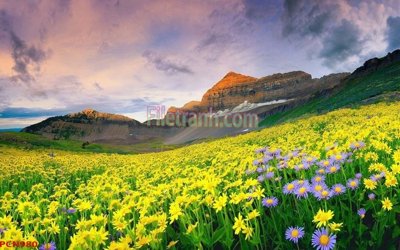 File gốc File tranh phong cảnh thiên nhiên PCN980 (in mica) cắt laser