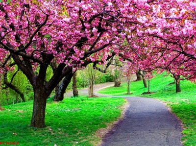 File ảnh File tranh phong cảnh thiên nhiên PCN983 (gốc) trang trí khách sạn