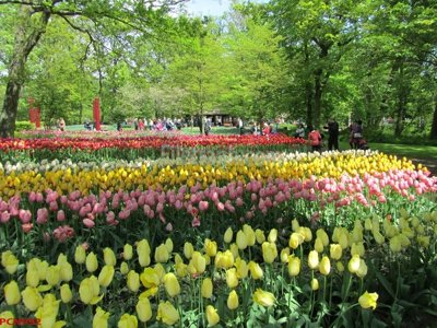 File gốc File tranh phong cảnh thiên nhiên PCN992 (ảnh chi tiết) để in ấn