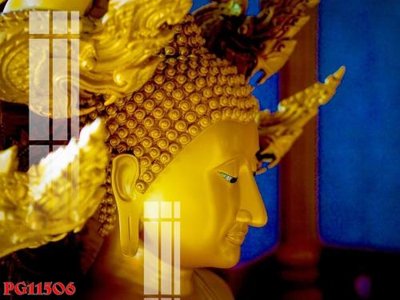 Tải file File tranh phật giáo PG11506 (PSD) cho in ấn quảng cáo