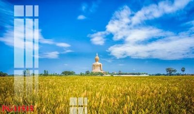 Download file gốc File tranh phật giáo PG11515 (in mica) logo