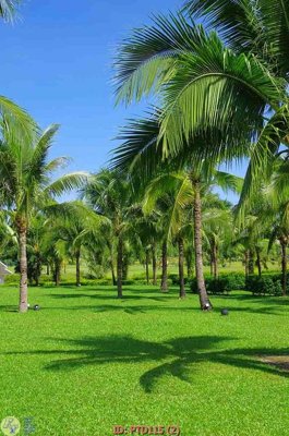 File gốc File phong thủy đứng thác nước PTD115 (cho in ấn) độc quyền