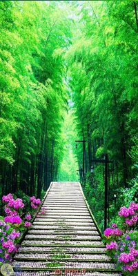 Tệp tin gốc File phong thủy đứng thác nước PTD117 (chất lượng cao) File phong thủy đứng thác nước PTD117