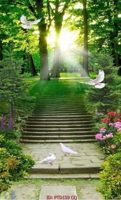 Tải file File phong thủy đứng thác nước PTD159 (ảnh gốc) file AI/EPS