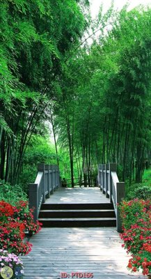 Download file tranh PSD File phong thủy đứng thác nước PTD166 để chỉnh sửa