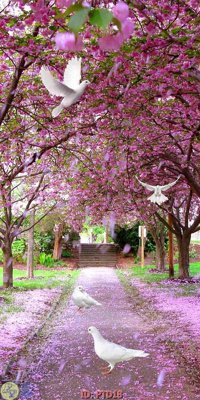 Ảnh gốc File phong thủy đứng thác nước PTD18 (nét căng) in mica