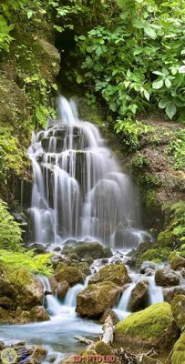 Hình ảnh file gốc in trần nhà File phong thủy đứng thác nước PTD180