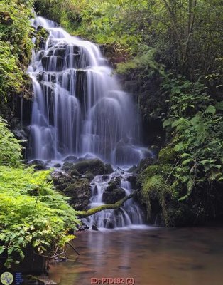 Mua file gốc File phong thủy đứng thác nước PTD182 (PSD) tại Filetranh.com