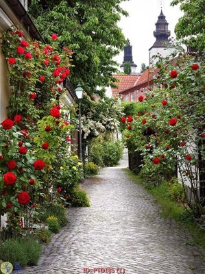 Tải file File phong thủy đứng thác nước PTD185 (PSD) cho in tranh kính