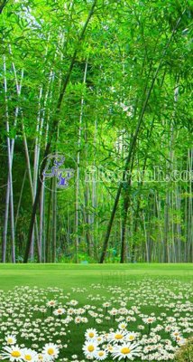 Tải file tranh File phong thủy đứng thác nước PTD2105 (ảnh gốc) ngay