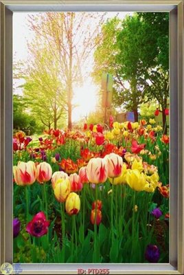 File in mica File phong thủy đứng thác nước PTD255 (bản gốc) sắc sảo