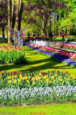 File gốc File phong thủy đứng thác nước PTD338 (in tráng gương) ốp tường