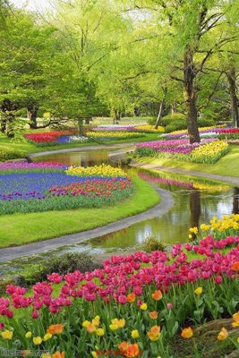 Tệp tin gốc File phong thủy đứng thác nước PTD401 (chất lượng cao) File phong thủy đứng thác nước PTD401