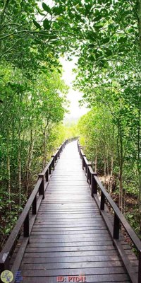 File gốc File phong thủy đứng thác nước PTD41 (chuẩn CMYK) cho nhà in