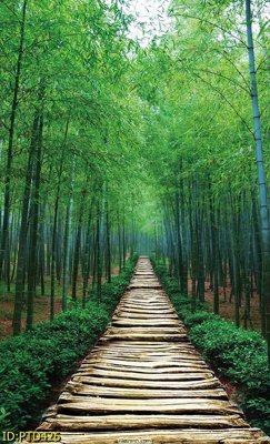 File ảnh File phong thủy đứng thác nước PTD426 (gốc) cho trang trí nhà hàng