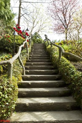 Tải file File phong thủy đứng thác nước PTD461 (ảnh gốc) độ phân giải 300dpi