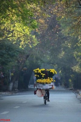 Tải file File phong thủy đứng thác nước PTD469 (gốc) làm tranh trang trí