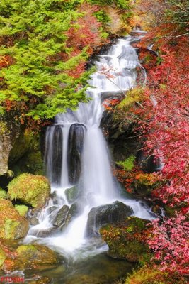 Download file gốc File phong thủy đứng thác nước PTD504 (in lụa) hoa lá