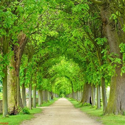 Tệp tin gốc File phong thủy đứng thác nước PTD505 (chất lượng cao) File phong thủy đứng thác nước PTD505