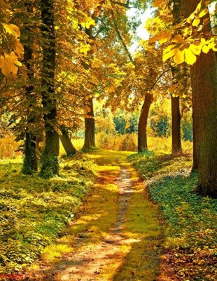 Tệp tin gốc File phong thủy đứng thác nước PTD514 (chất lượng cao) File phong thủy đứng thác nước PTD514