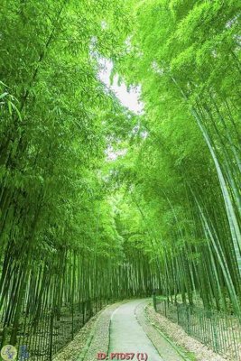 Tải file File phong thủy đứng thác nước PTD57 (gốc) in trên mọi chất liệu