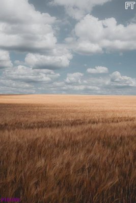 File tranh File phong thủy đứng thác nước PTD789 (ảnh gốc) cho in ấn kỹ thuật số