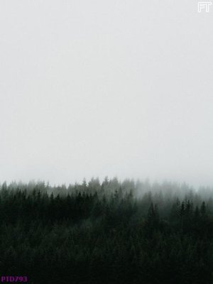 File gốc File phong thủy đứng thác nước PTD793 (ảnh chi tiết) để in lụa