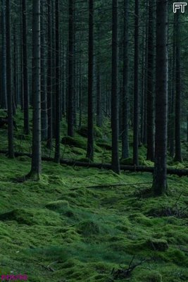 File in trần File phong thủy đứng thác nước PTD799 (file gốc) chủ đề vũ trụ