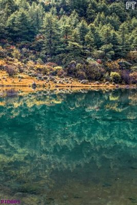 File tranh in trần File phong thủy đứng thác nước PTD803 (ảnh gốc siêu nét)