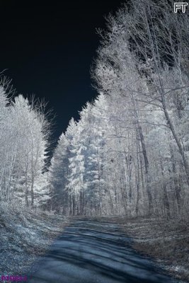 File tranh File phong thủy đứng thác nước PTD811 (bản gốc) in lụa 3D