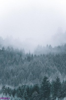 Tải về file gốc File phong thủy đứng thác nước PTD812 (chuẩn in ấn)