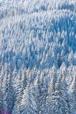 File in ấn File phong thủy đứng thác nước PTD821 (bản gốc) cao cấp