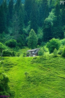 File tranh gốc PSD File phong thủy đứng thác nước PTD834 còn nguyên layer