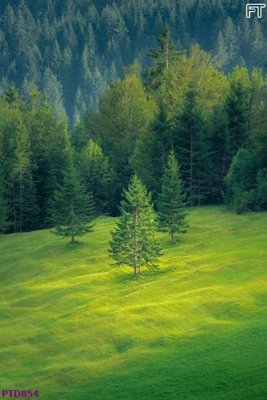 File ảnh File phong thủy đứng thác nước PTD854 (gốc) in poster