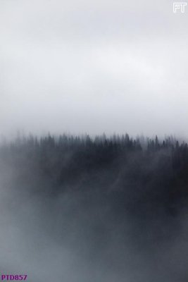 Ảnh mô tả file gốc in mica File phong thủy đứng thác nước PTD857