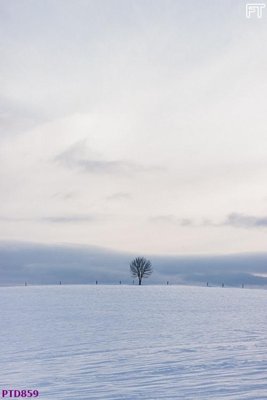 File tranh gốc File phong thủy đứng thác nước PTD859 (bản đẹp) độc quyền