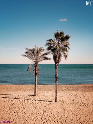 File gốc File phong thủy đứng thác nước PTD892 (AI/EPS) cho in ấn