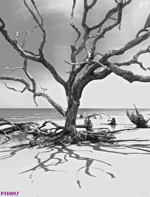 Tải file File phong thủy đứng thác nước PTD897 (gốc) làm file thiết kế