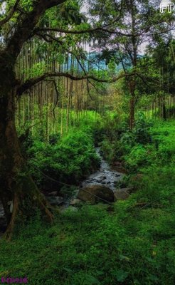 Tải xuống file tranh gốc File phong thủy đứng thác nước PTD918 (PSD/TIFF)