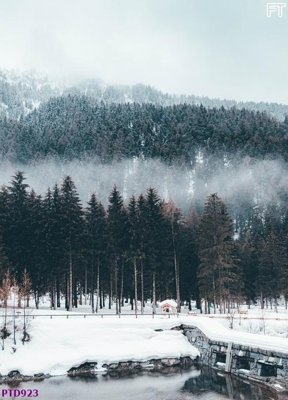 File gốc File phong thủy đứng thác nước PTD923 (ảnh rõ nét) để in