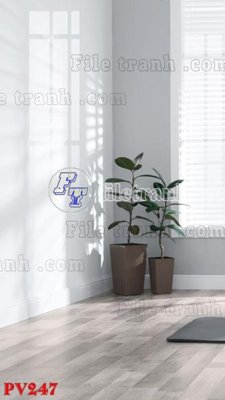 File ảnh File gốc in phông live tream phòng phát sóng trực tiếp PV247 (gốc) cho trang trí nội thất