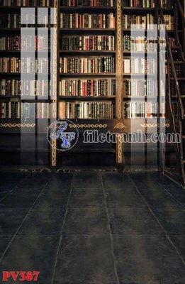 File gốc File gốc in phông live tream phòng phát sóng trực tiếp PV387 (in ấn) màu sắc trung thực