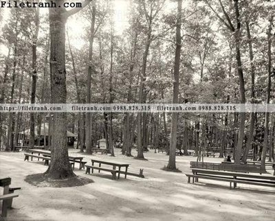 File gốc Picnic in the Park_ 1905 (PNG) chất lượng cao