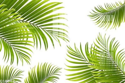 File tranh File gốc in tranh tổng hợp Q10002 (file gốc) chuẩn màu in